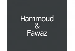 Hammoud & Fawaz 