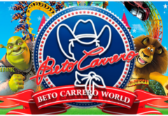 copy-of-logos-site-leal-1-4-240x165